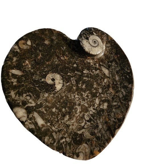 NWOT Gray Heart Shape Natural Stone Fossil Dish - Picture 2 of 9